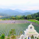 산정호수 아일랜드 이미지