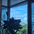 스테이소프트 이미지