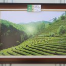 녹차향기 이미지