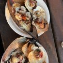 오색키조개 이미지