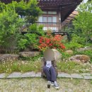 초당골한옥 네이버블로그