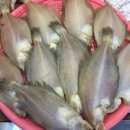 남해바다향기 이미지