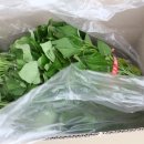 더나은PC 이미지