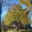 염주근린공원 이미지