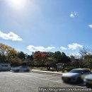 향우정 | [국내드라이브여행]부여당일치기(구드래나루터,코스모스,향우정,부여국립박물관)