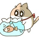 연남약국 이미지