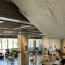 하스커피 이미지