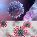 주안동물병원 이미지