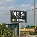 하이멍 애견카페 | [부산] 강서구 애견운동장 하이멍애견카페 추천 (+방문후기)