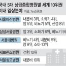 2024년 9월20일 금요일 간추린 뉴스 이미지