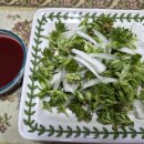 봄이밥상 이미지