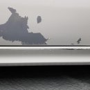 태동자동차공업사 이미지