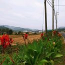 낙동강종주도보여행(태백황지-부산하구둑)제8일 예천군지보면-상주보 이미지