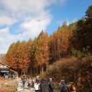 장계관광지 이미지