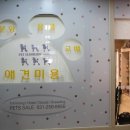 펫엘도라도 이미지