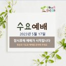 230517수요예배 - 되돌아 온 한 사람!(누가복음 17장 11~19절) 이미지