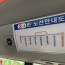 꽃마을로 | 승학산 등산후기 + 꽃마을로 내려와 예천집 먹방