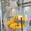 하삼동커피 메트로센텀점