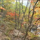 구룡목장 이미지