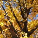 승곡 한의원 이미지