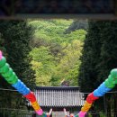한라산국립공원관음사지구야영장 | 부처님 오신 날 앞두고 찾아보는 제주도 사찰 드라마 촬영지 한라산 관음사
