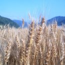 토지농산 - 동대문구 고산자로40길 26 | 토지농산