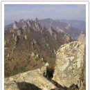 공룡밥그릇 이미지