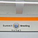 써밋레슬링 이미지