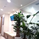 은평탑내과의원 이미지