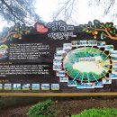 엄마아빠 어렸을적에 이미지