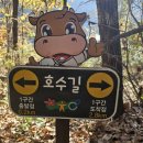 횡성 호수길 4구간 네이버블로그