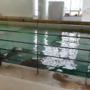 마린파크 이미지