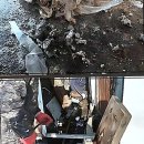 해오름아파트 앞 사거리-2 이미지