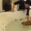 개밥주는 남자 이미지