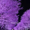 여주-0404 이미지