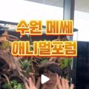 하이애니멀샵 이미지