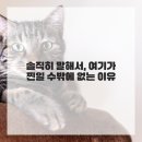 수원다온정형외과의원 | 어쩐지 몸이 찌뿌둥하다 했더니! 수원 다온 정형외과 뚫고 왔어요