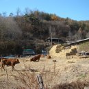 개실마을_2 이미지