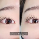 도봉-창동-도봉-5404 이미지