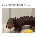 배부른돼지 - 계양구 황어로126번길 20 | 배부른돼지