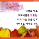 제2회 화폐박물관 벼룩시장 개최(10.24.)