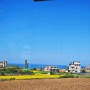 애월 현스테이 이미지