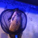 어부바낚시까페 이미지