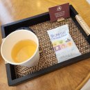 분당판교청소년수련관 공연장 | [분당구 판교동] 분당 바디관리케어 스파오라 판교점 아로마 바디 테라피 솔직후기