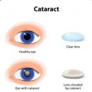 아이들즈 이미지