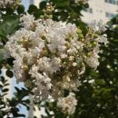 체육공원약수터 이미지