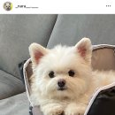 느티로63번길 이미지