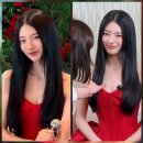 수지 - 보성군 | 수지