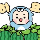 태건시스템