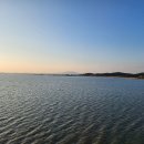 스카이타워 이미지